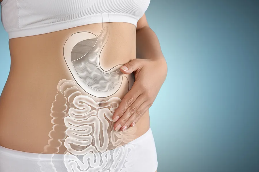 Gut-Health-Doctor Close up of the midriff of a woman with white underwear and an illustration of the digestive system superimposed over the image. Get help for digestive issues and gut health from Sandra McDonald, NP in Southwestern Ontario.